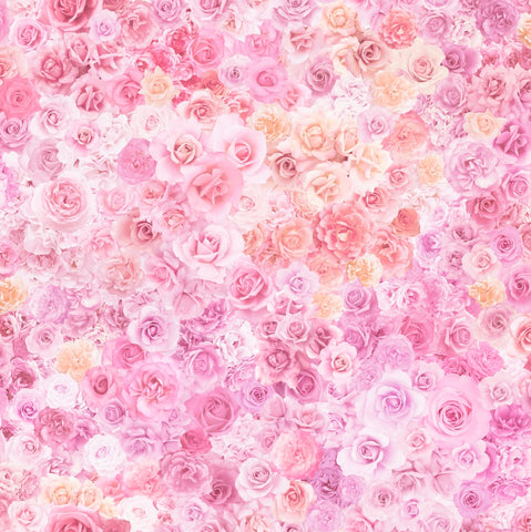 GRADIENTS PARFAIT Rainbow Roses Bubblegum - SALE $22.00 p/m