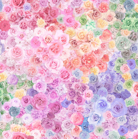 GRADIENTS PARFAIT Rainbow Roses Sherbert Fantasy -SALE $22.00 p/m