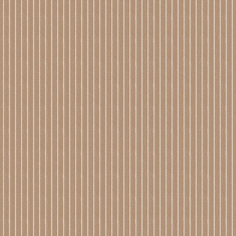 CREATING MEMORIES Stripe Toffee - NEW ARRIVAL