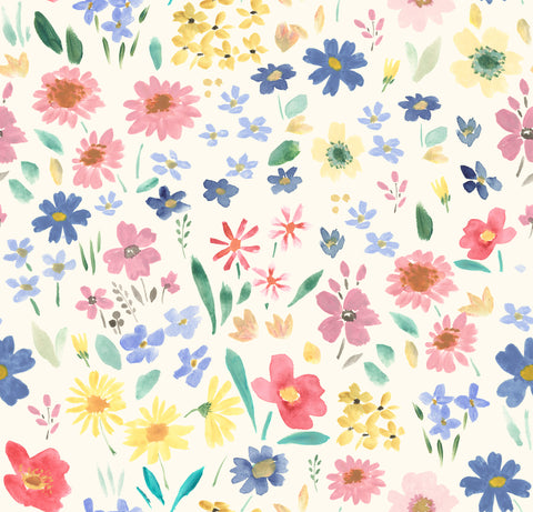 ALLY Ally Spring