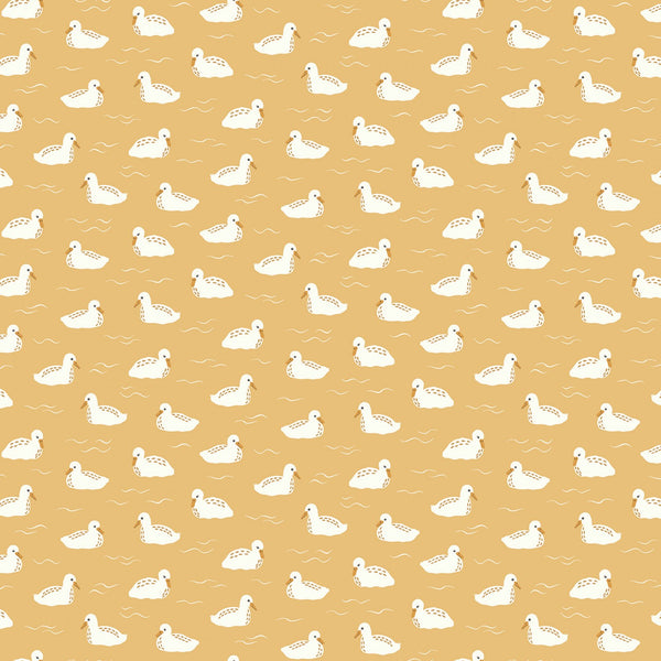 LITTLE SWAN Baby Swans Honey