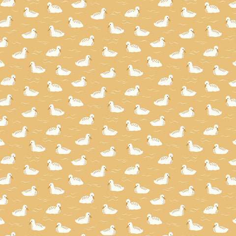 LITTLE SWAN Baby Swans Honey - NEW ARRIVAL