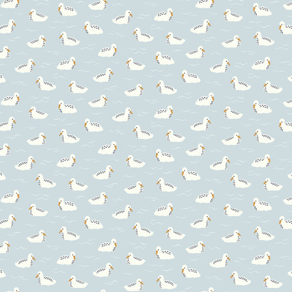 LITTLE SWAN Baby Swans Sky -  SALE $23.00 p/m