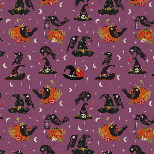 HOCUS POCUS Beaks & Brims - PRE ORDER (June 2026)