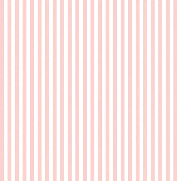 BLUSH Cream Stripe - SALE $13.00 p/m
