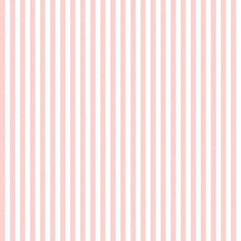 $13.00 per Metre