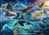 CARLIE EDWARDS COLLECTION Arctic WIDE Panel