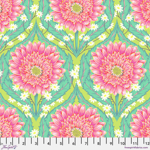 UNTAMED Daisy & Confused Moonbeam - NEW ARRIVAL