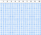 SPRING CHEER Gingham Denim - NEW ARRIVAL