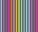 TRUE COLOURS GRAYWORK Disco Stripe Carbon - PRE ORDER (Oct/Nov 2025)