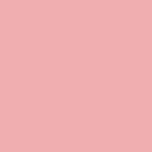 PURE SOLIDS Quartz Pink (Tails & Threads + Capri + The Softer Side + Christmas in the Cabin)
