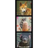 KARIN ROBERTS COLLECTION Dingo, Tassie Devil, Sugar Glider 3 Block Panel - SALE $7.00