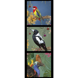 KARIN ROBERTS COLLECTION Rosella, Magpie, Cassowary 3 Block Panel - SALE $7.00