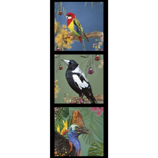 KARIN ROBERTS COLLECTION Rosella, Magpie, Cassowary 3 Block Panel - SALE $7.00