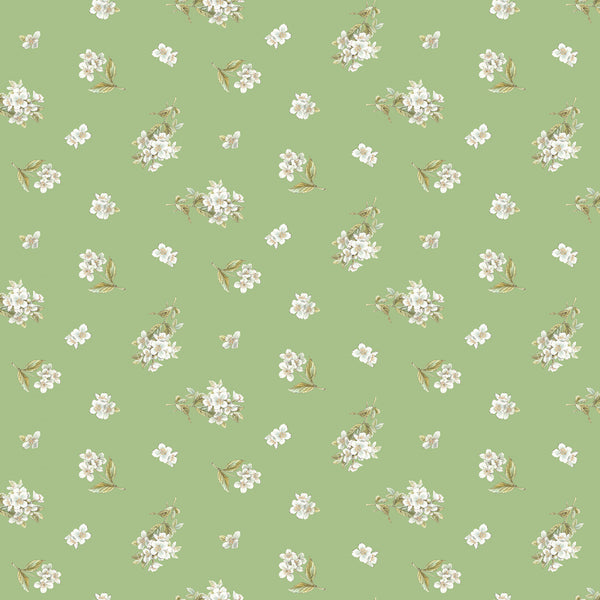 PETER RABBIT & FRIENDS Jasmine Green - NEW ARRIVAL