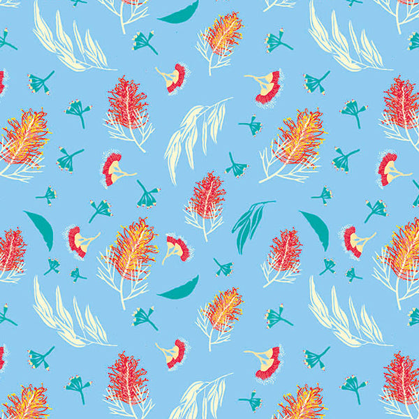MONOTREMES & MARSUPIALS Grevillea Blue - SALE $9.00 p/m