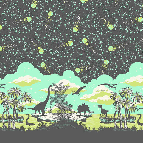 ROAR! Meteor Shower Storm Double Border