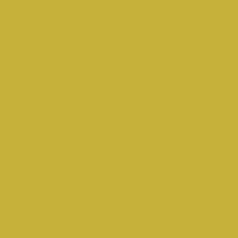 PURE SOLIDS Olive Oil (Christmas in Color) - NEW ARRIVAL