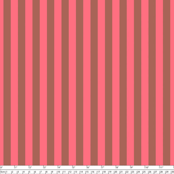 NEON TRUE COLOURS Tent Stripe Nova