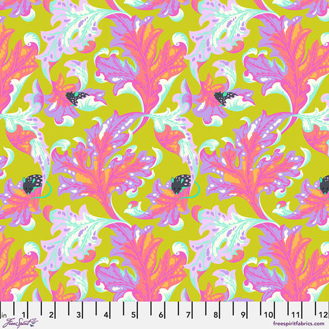 TABBY ROAD DEJA VU Eek Electroberry