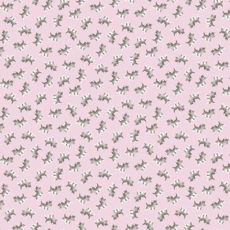 PETITE TREAT Kittens Pink - SALE $11.00 P/M
