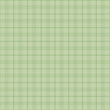 PETER RABBIT & FRIENDS Plaid Fern - NEW ARRIVAL