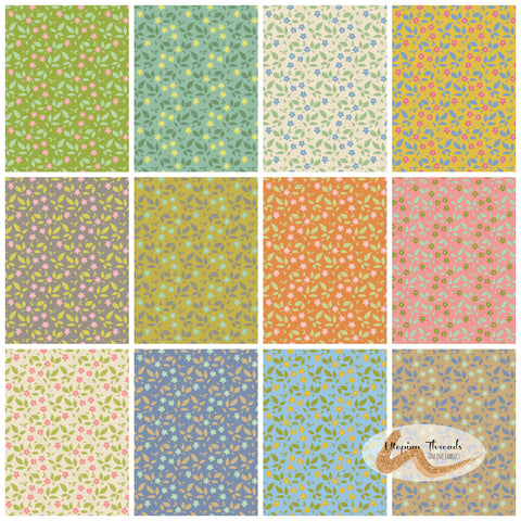 SUNDAY BRUNCH Tipsy One Metre Bundle - NEW ARRIVAL