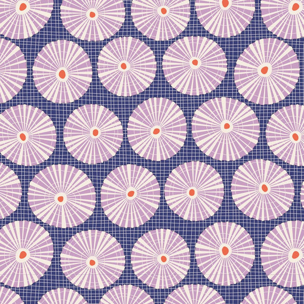 COTTON BEACH Limpet Shell Blue