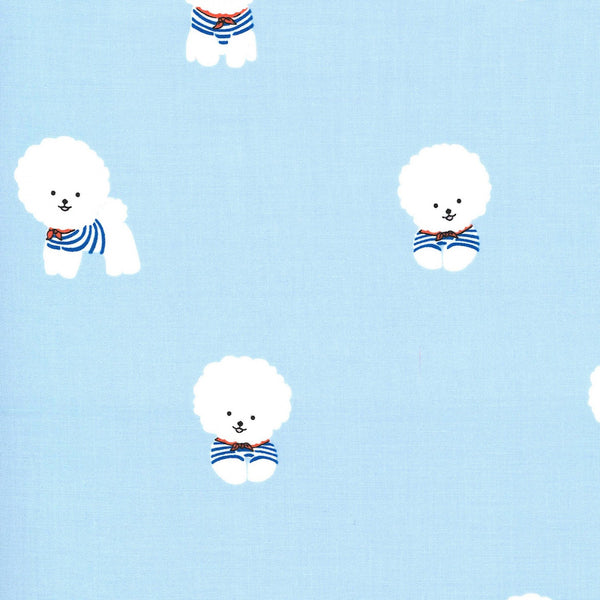 BICHON FRISE Sailor