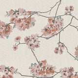 BOTANIST Blossoming Daphne CANVAS