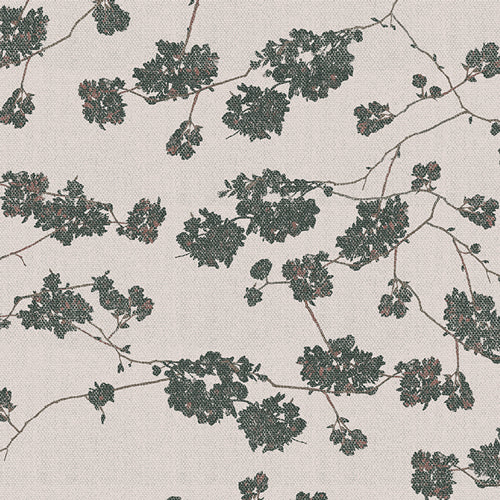BOTANIST Blossoming Nebule - SALE $17.00 p/m