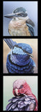 CHRIS RILEY COLLECTION Kingfisher Wren Galah 3 Block Panel - SALE $7.00