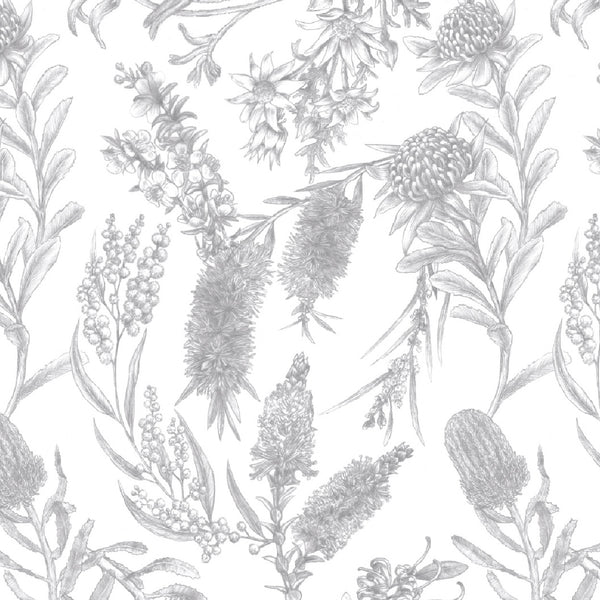 LITTLE AUSSIE FRIENDS Botanical Sketch White - NEW ARRIVAL