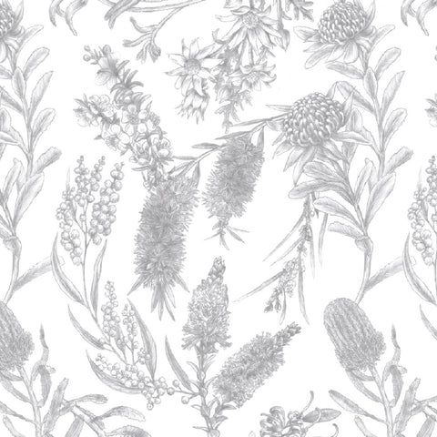 LITTLE AUSSIE FRIENDS Botanical Sketch White - NEW ARRIVAL