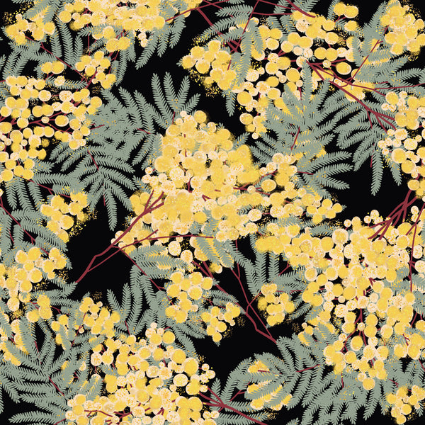 ROBYN HAMMOND FLORALS Wattle on Dark