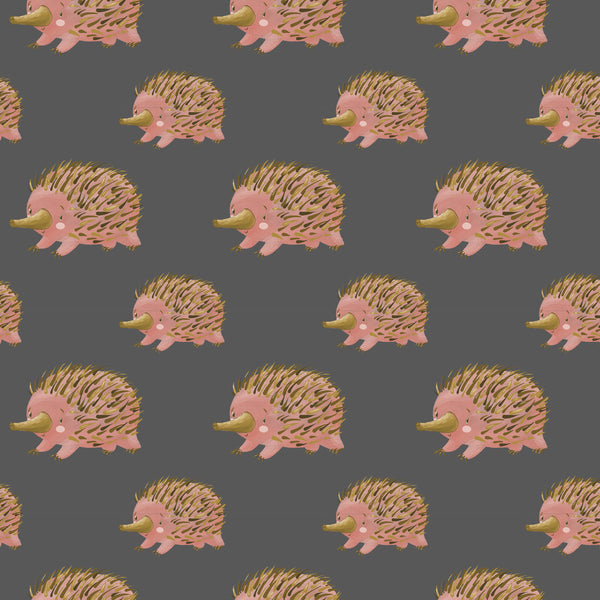 MONIQUE CANNON COLLECTION Echidnas - SALE $19.00 p/m