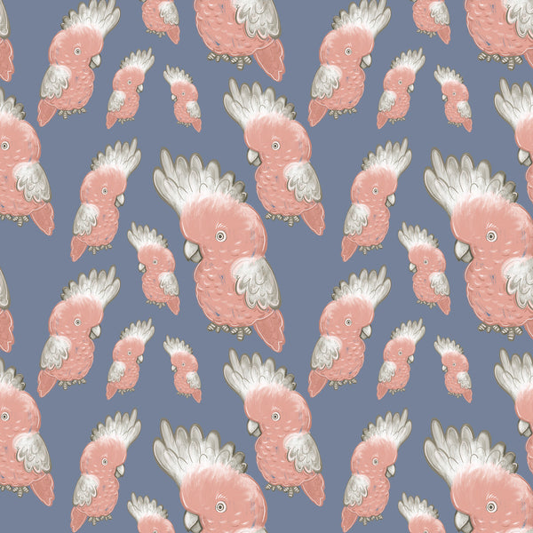MONIQUE CANNON COLLECTION Galahs - SALE $19.00 p/m