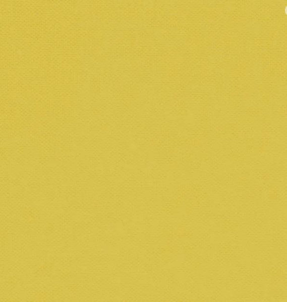 DEVONSTONE COLLECTION SOLIDS Bee Sting (Chic Escape + Sunday Brunch) - NEW ARRIVAL