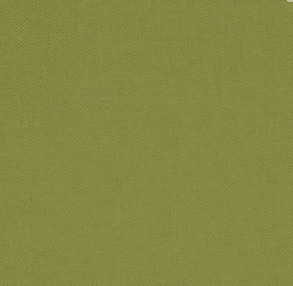 DEVONSTONE COLLECTION SOLIDS Pine Tree (Alphabet Botanical Collection) - NEW ARRIVAL