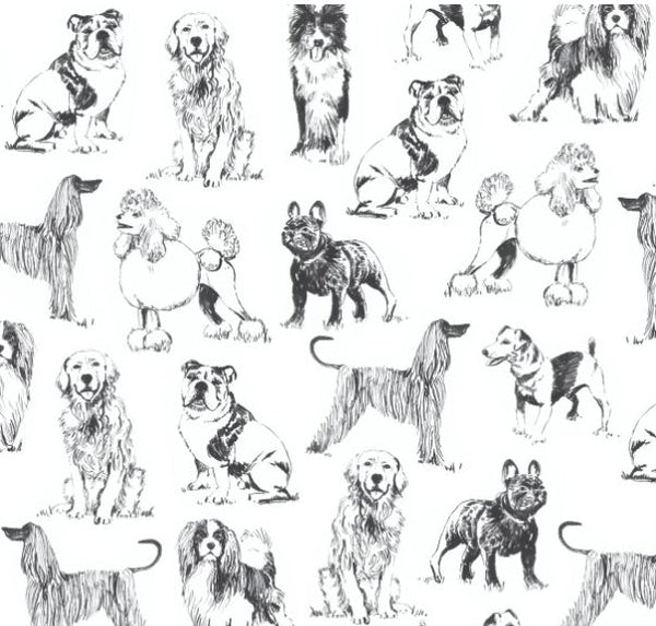 SKETCH DOGS Black & White - NEW ARRIVAL