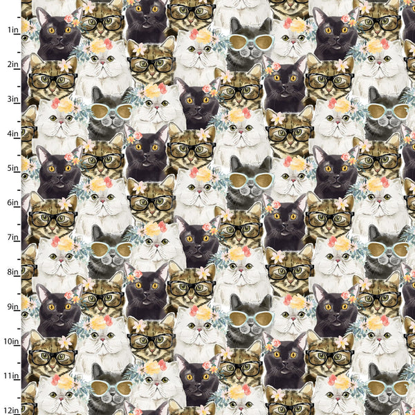 EVERY DAY IS CATURDAY Cats Packed - SALE $19.00 p/m