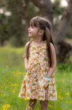 FRESH AS A DAISY Daisies Orange - SALE $15.00 p/m
