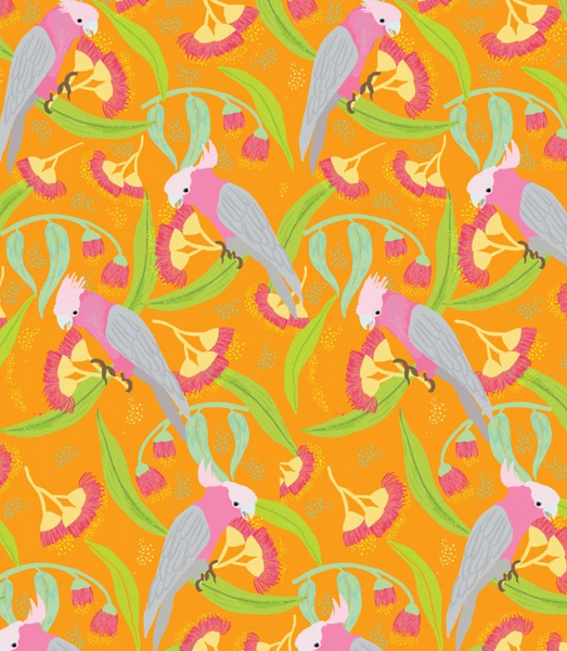 WILD AUSTRALIA Galahs Orange