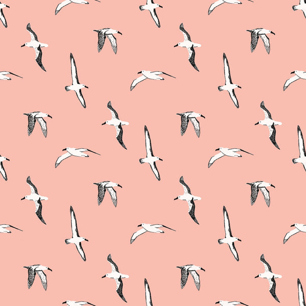 HEARTSONG Albatross Peach - SALE $17.00 p/m