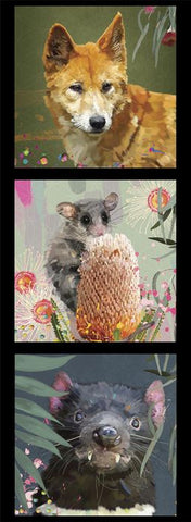 KARIN ROBERTS COLLECTION Dingo, Tassie Devil, Sugar Glider 3 Block Panel