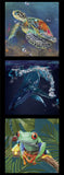 KARIN ROBERTS COLLECTION Turtle, Whale, Frog 3 Block Panel - SALE $7.00