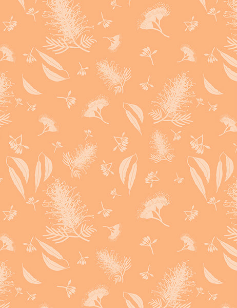 MONOTREMES & MARSUPIALS Grevillea Tone on Tone Apricot - SALE $11.00 p/m