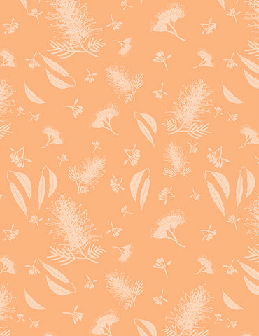 MONOTREMES & MARSUPIALS Grevillea Tone on Tone Apricot - SALE $11.00 p/m