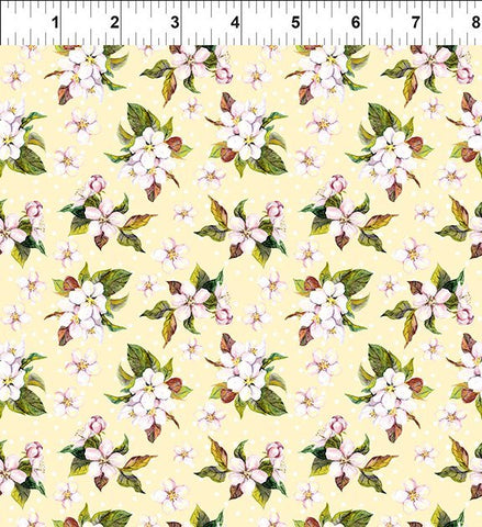 PRETTY IN PINK Blossom Pinspot Yellow - SALE $15.00 p/m