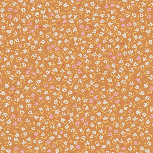 THE SOFTER SIDE Promenade Seven - SALE $13.00 p/m